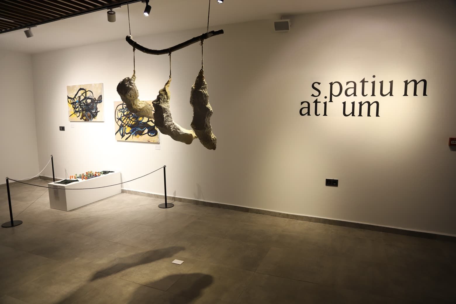 “Spatium” Sergisi Sanat Sokağı’nda Kapılarını Açtı (1)