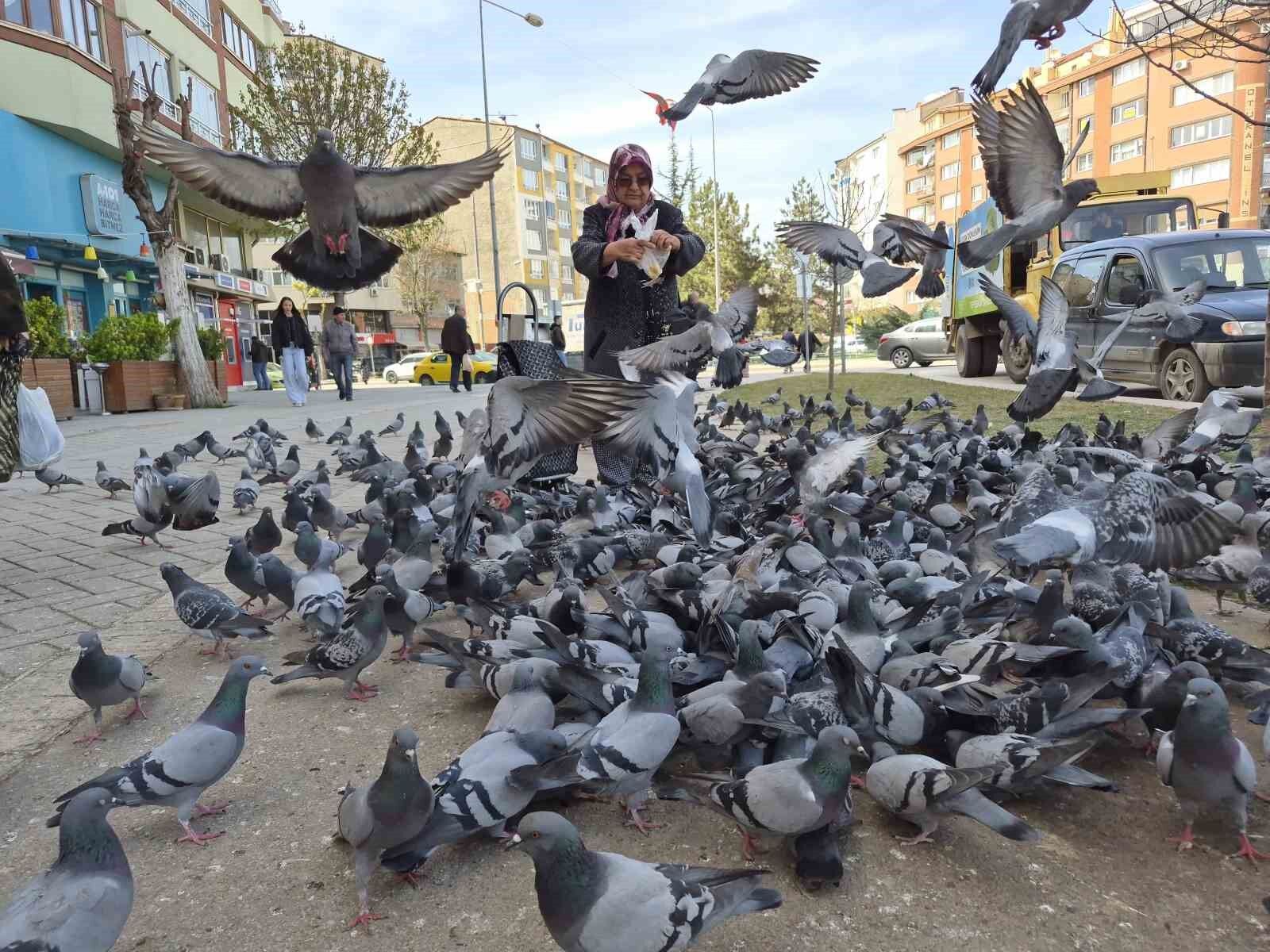 Yaşlı Kadın Güvercinlerin Ortasında Kaldı
