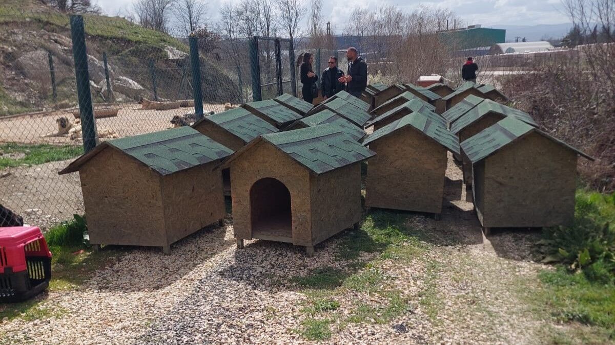 Zafer Partisi Heyeti Bozüyük’teki Barınak İddialarını Yerinde Gördü (1)