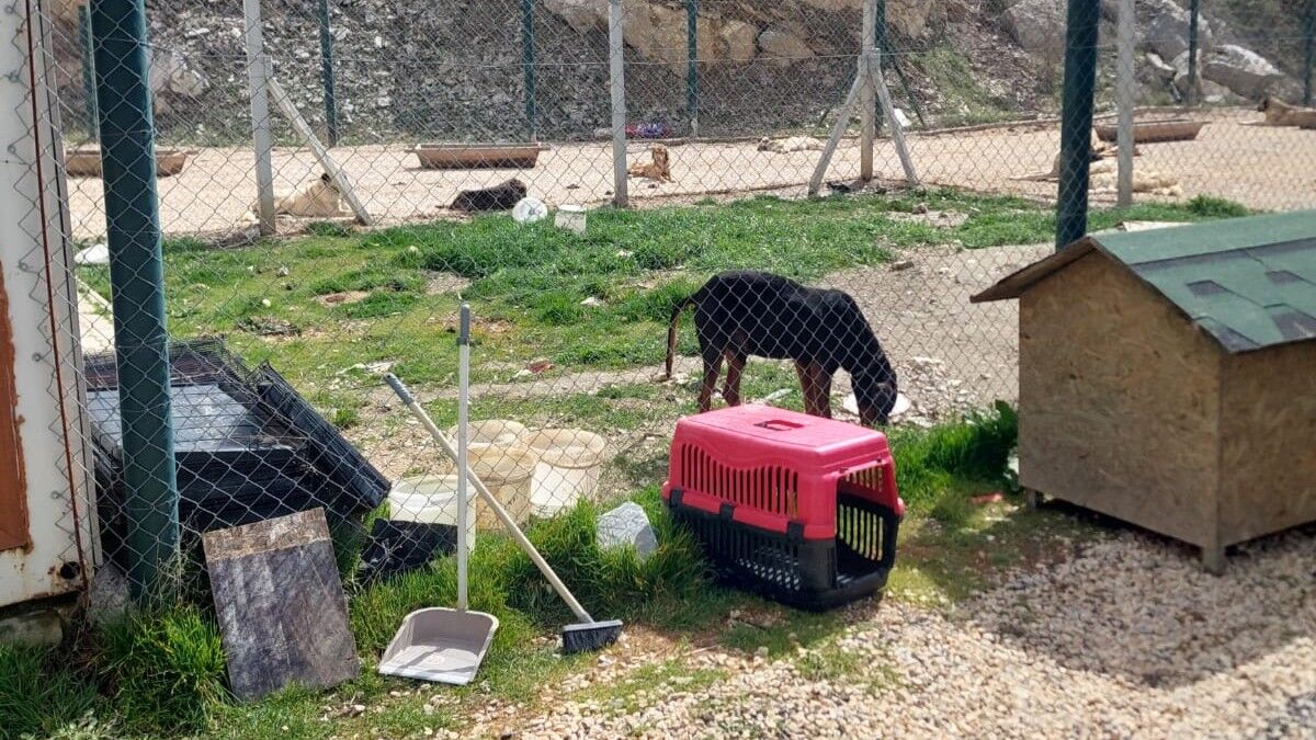 Zafer Partisi Heyeti Bozüyük’teki Barınak İddialarını Yerinde Gördü (4)