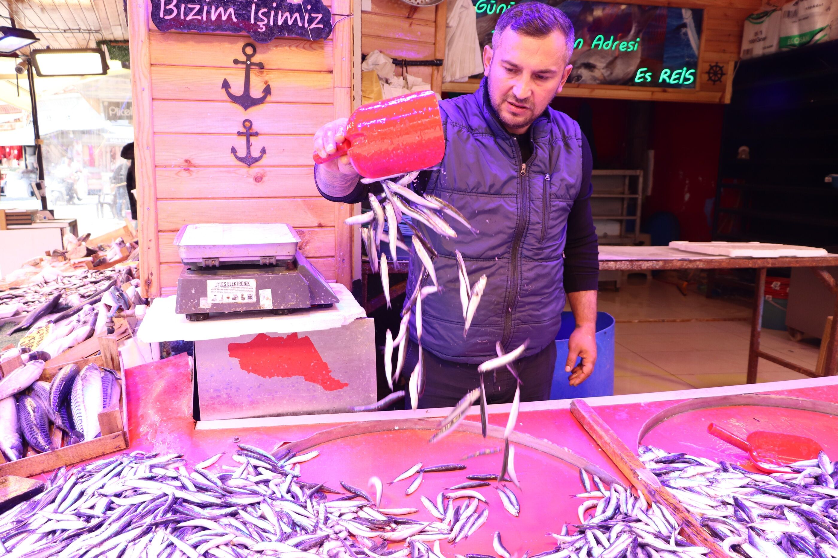 Av Yasağı 5