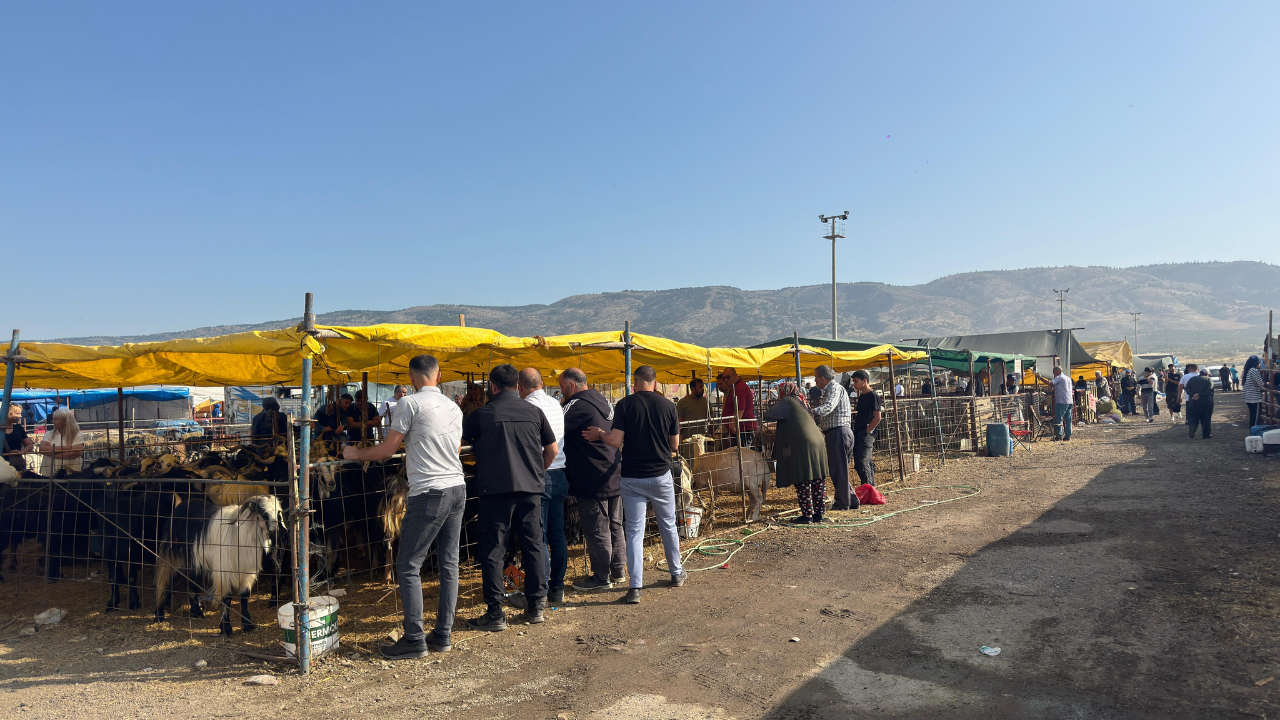 Bayramda Kesim Hizmeti İçin Hazırlık Tamamlandı (2)