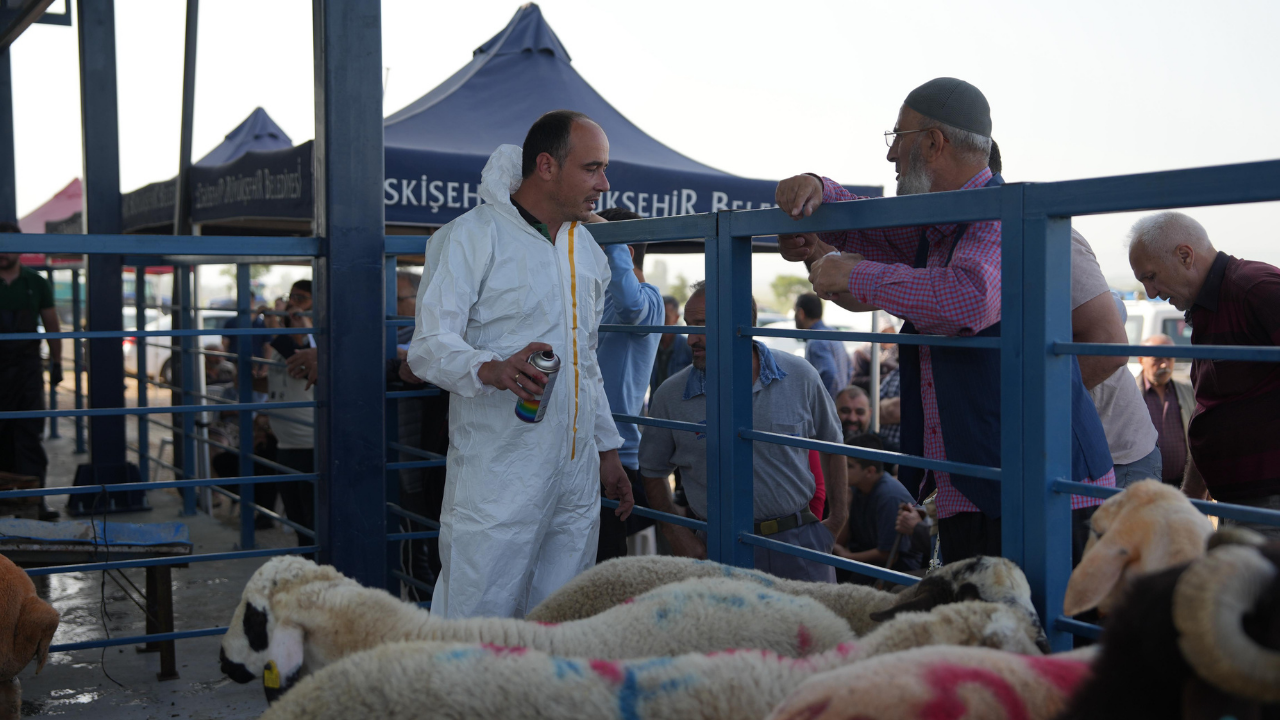 Bayramda Kesim Hizmeti İçin Hazırlık Tamamlandı (5)