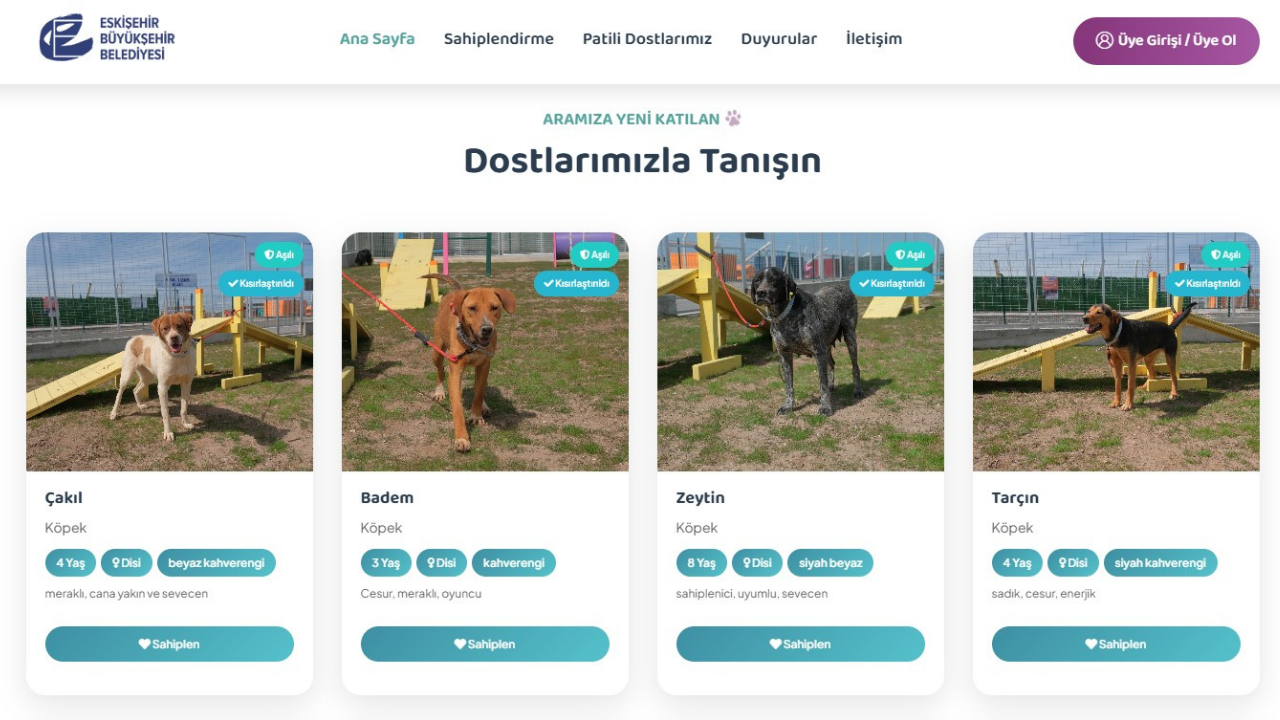 Can Dostlar İçin Dijital Yuva Açıldı (4)