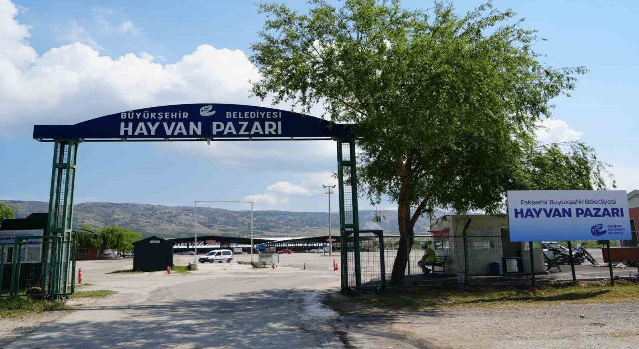 Eskisehir Hayvan Pazari Kurban Bayramina Hazir 1748513767