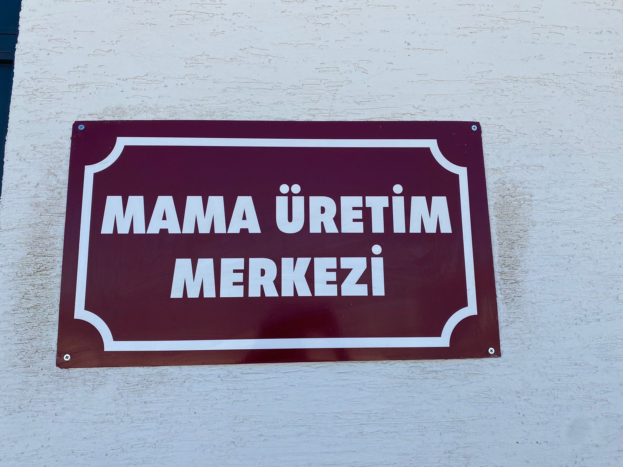Eskişehir’de Atık Gıdalar Can Dostlar İçin Mamaya Dönüşüyor (2)