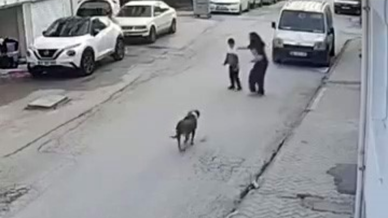 Köpeğin Korkuttuğu Çocuk Kameraya Yansıdı (1)