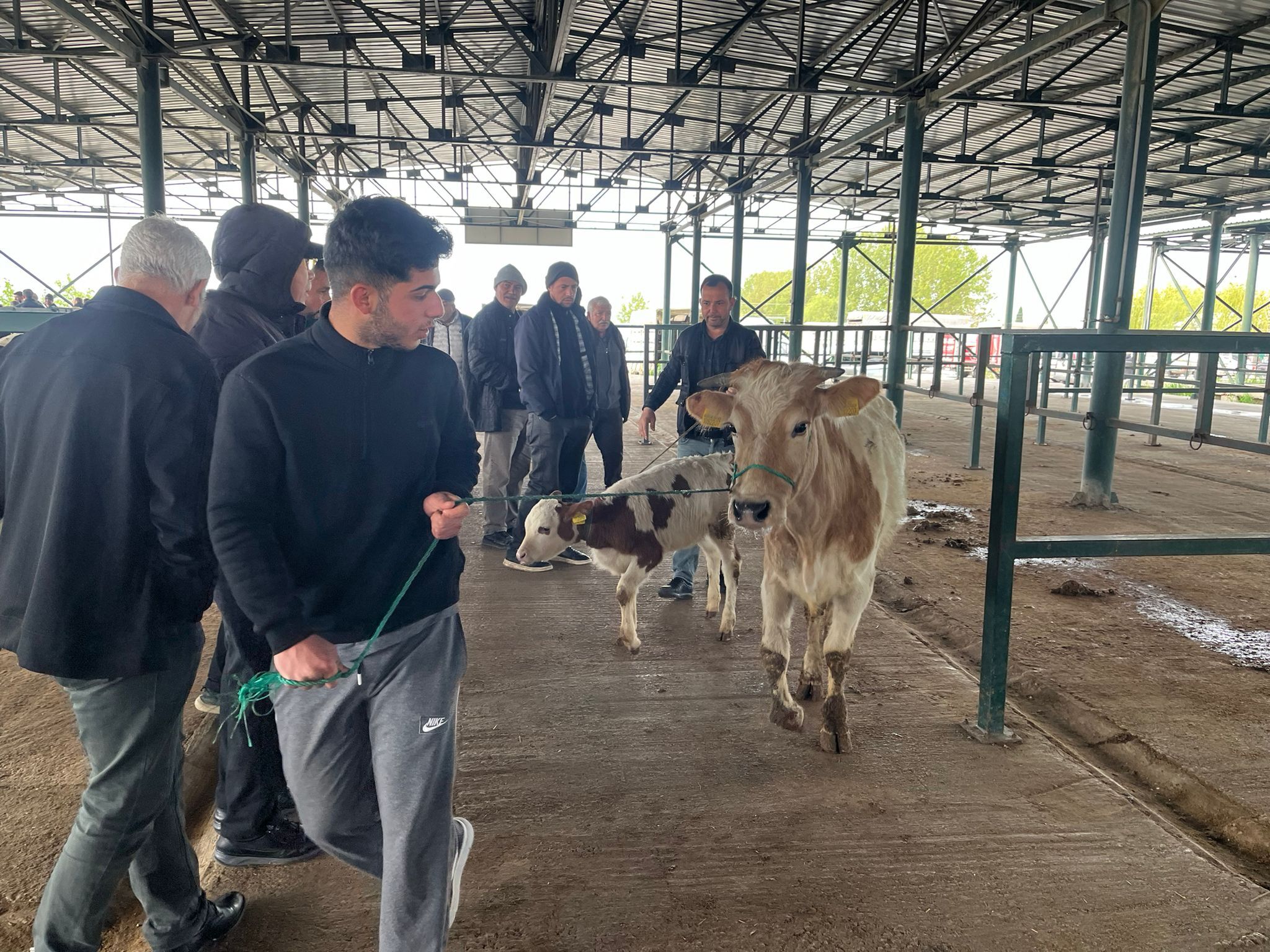 Kurban Pazarında Sessizlik Satıcı Da Alıcı Da Dertli (7)