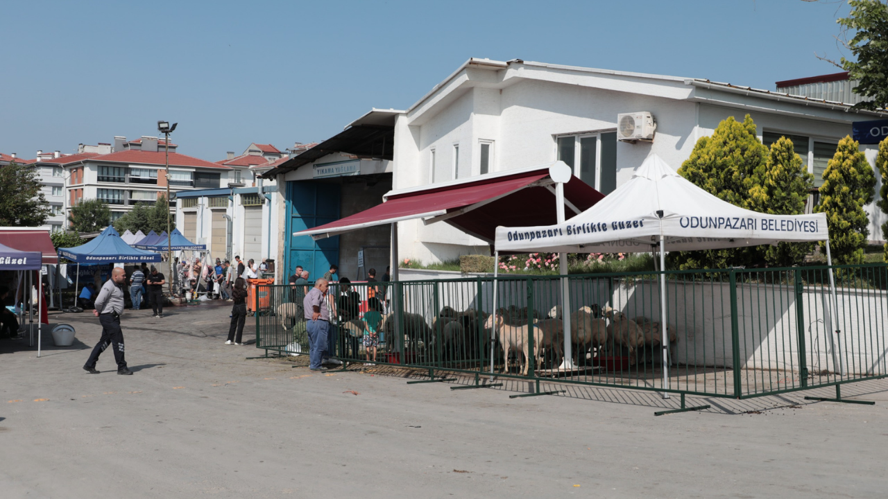 Odunpazarı’ndan Ücretsiz Kurban Kesim Hizmeti (2)