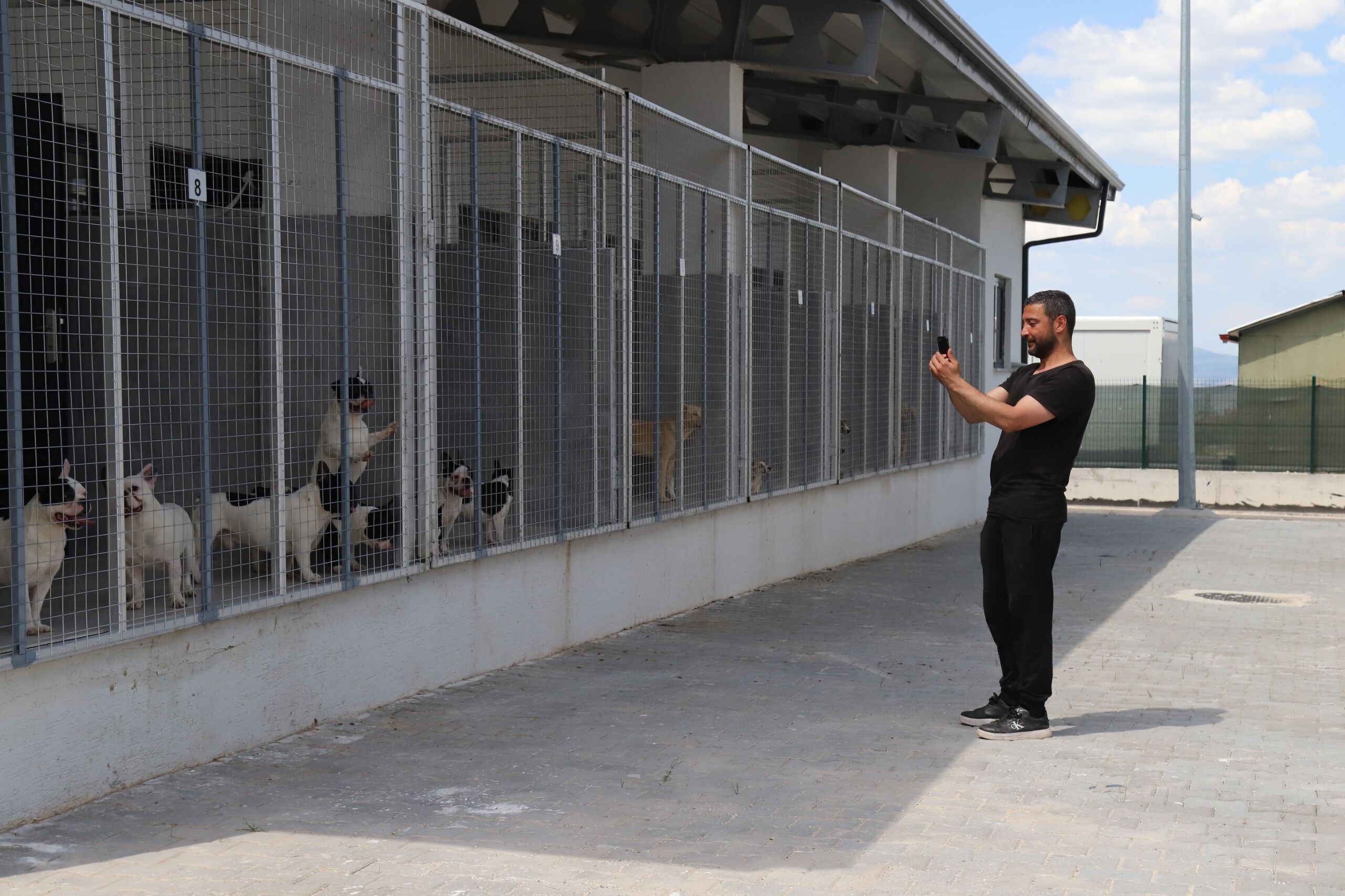 Başkan Ünlüce Çağrıya Kayıtsız Kalmadı 9 Köpek İçin Mutlu Son (9)