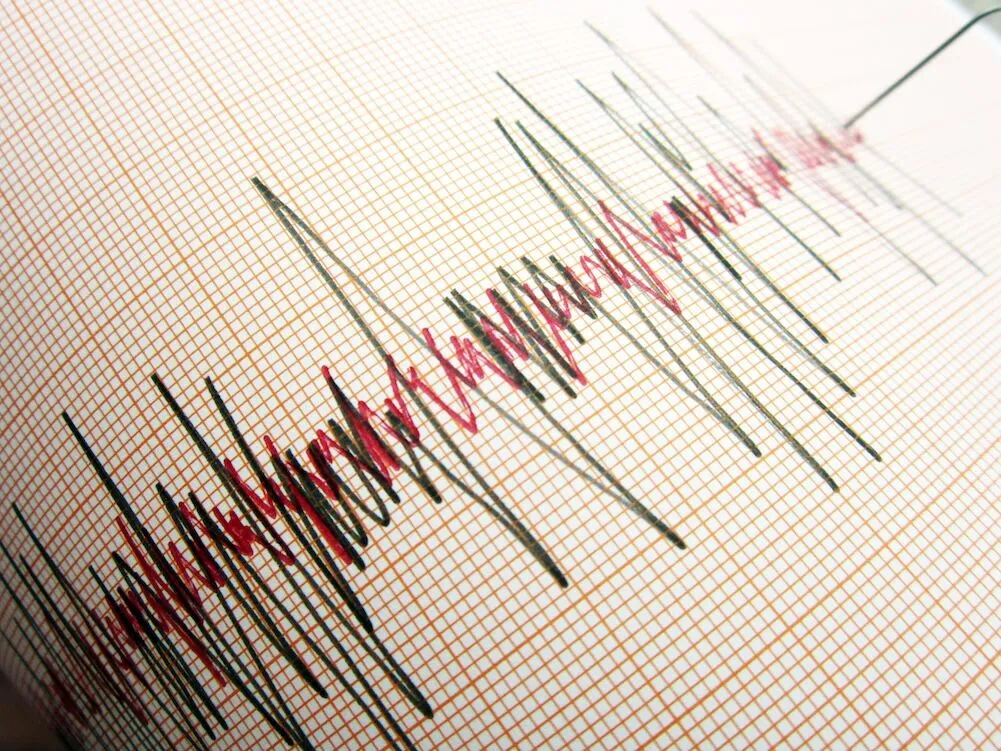 Dünya Deprem 2