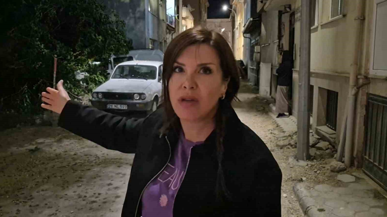 Eskişehir'de Dut Ağacı Araçların Üzerine Devrildi (2)