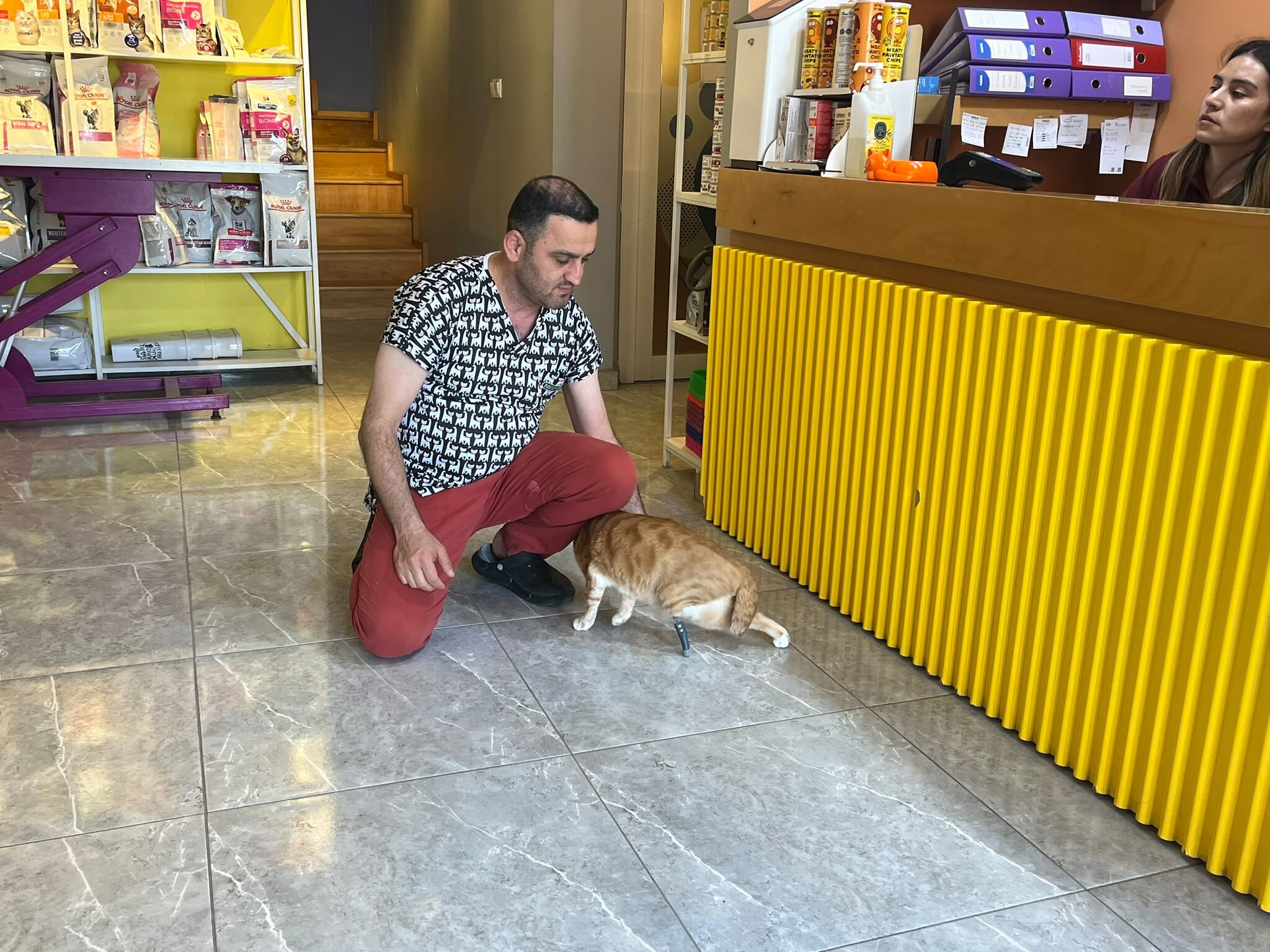 Eskişehir'de İlk Kez Yapılan Tedaviyle Kedi Bodhi Sağlığına Kavuştu (7)