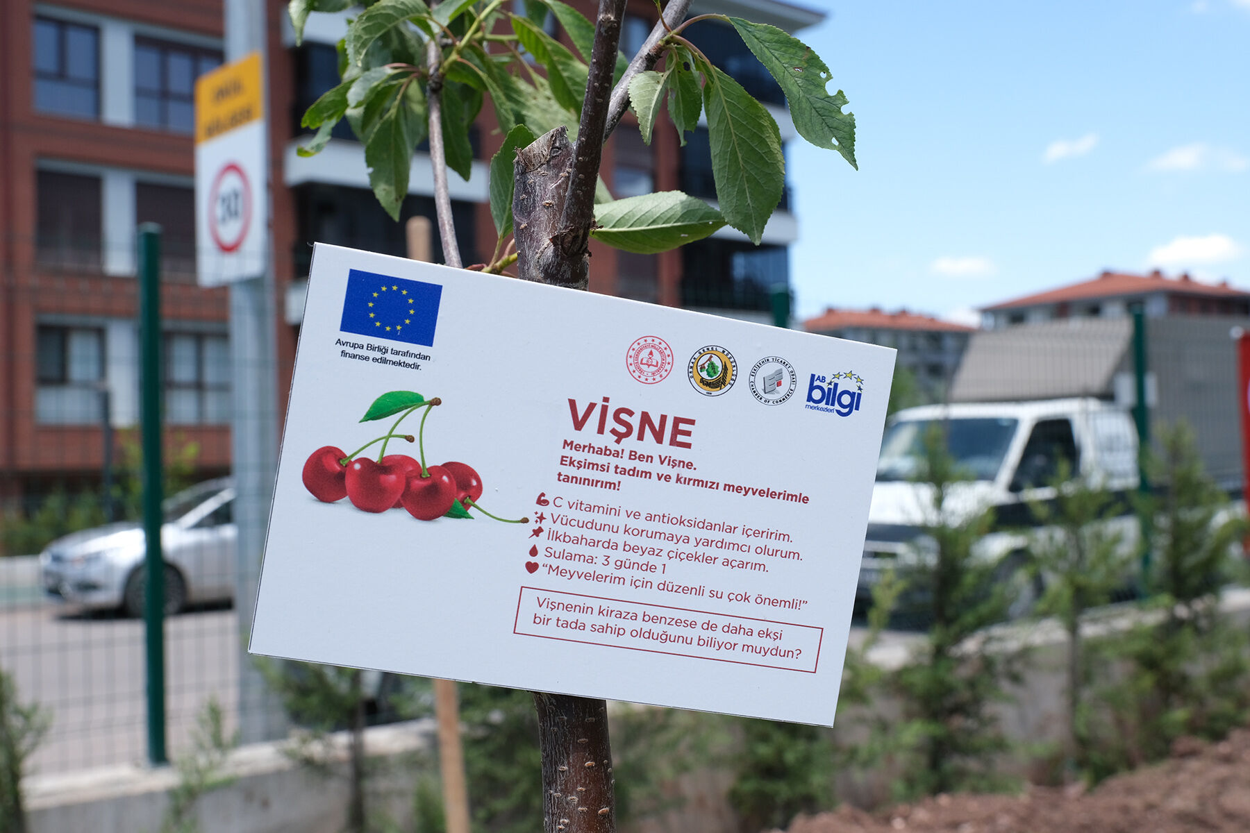 Eskişehir'de Küçük Ellerle Yeşil Yarınlara Büyük Adım (3)