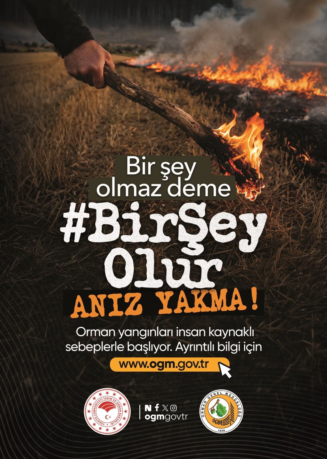Eskişehir'de Ormanlara Girişler O Tarihten İtibaren Yasaklanıyor (1)