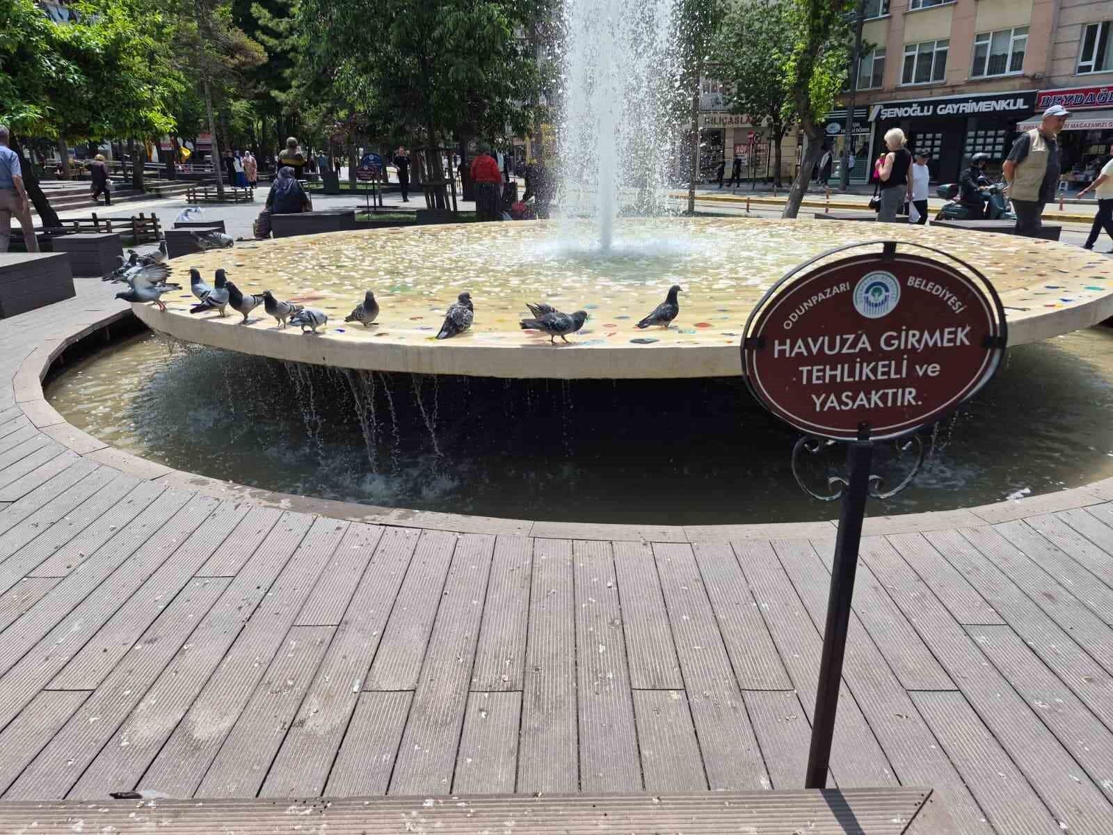 Eskişehir'de Sıcaktan Bunalan Güvercinler Havuza Koştu (2)