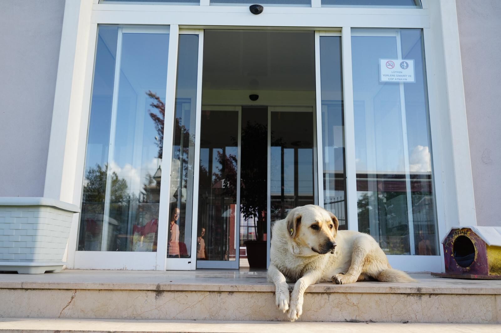 Eskişehir'de Sosyal Kütüphane Gençlerin Buluşma Noktası Oldu (7)