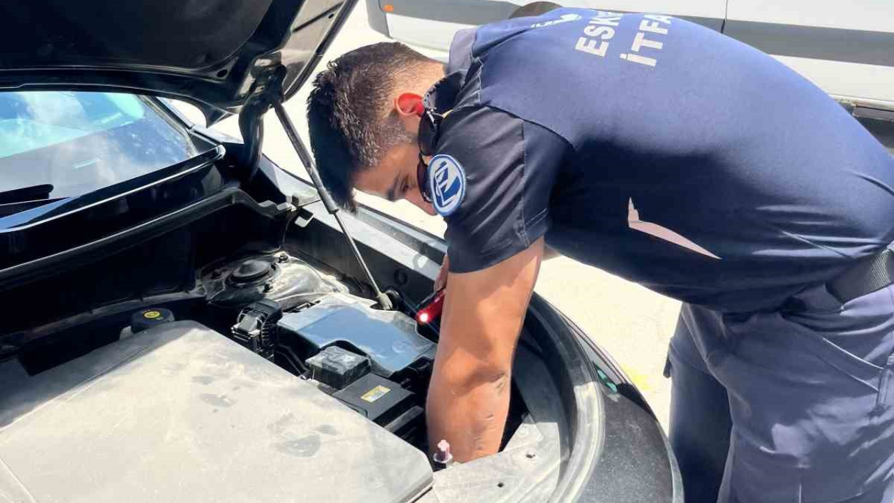İtfaiye, Arabanın Motor Bölümüne Sıkışan Kediyi Kurtardı (1)