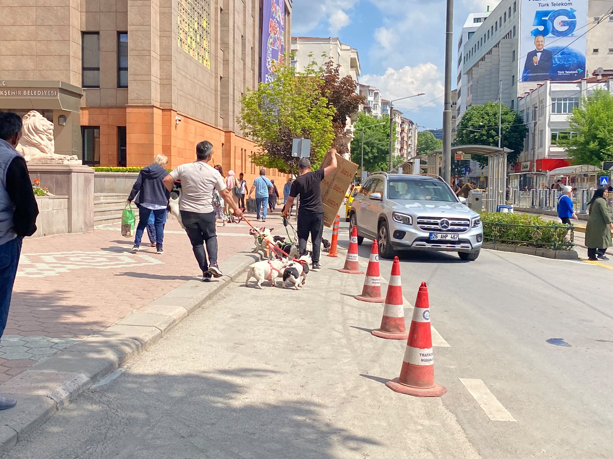 “Köpeklerim Ayrılmasın” Diyerek Destek İstedi (3)