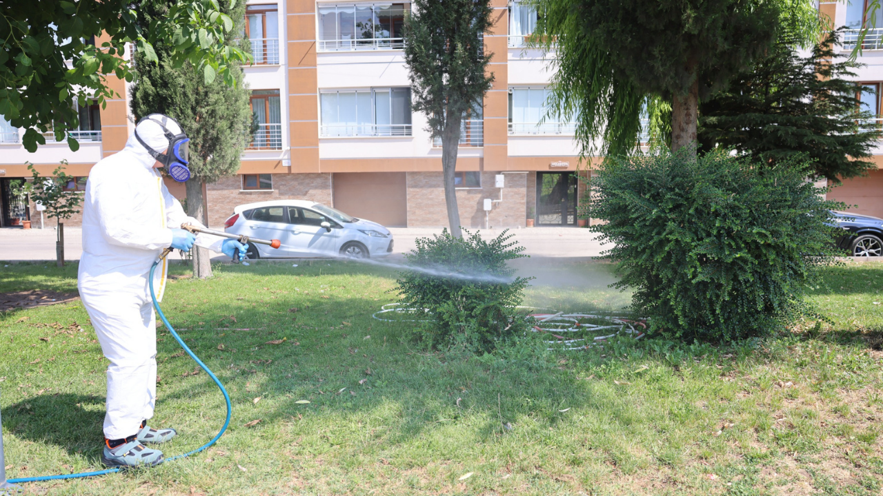 Yaz Mevsiminin Gelmesiyle İlaçlama Çalışmaları Hızlandı (1)