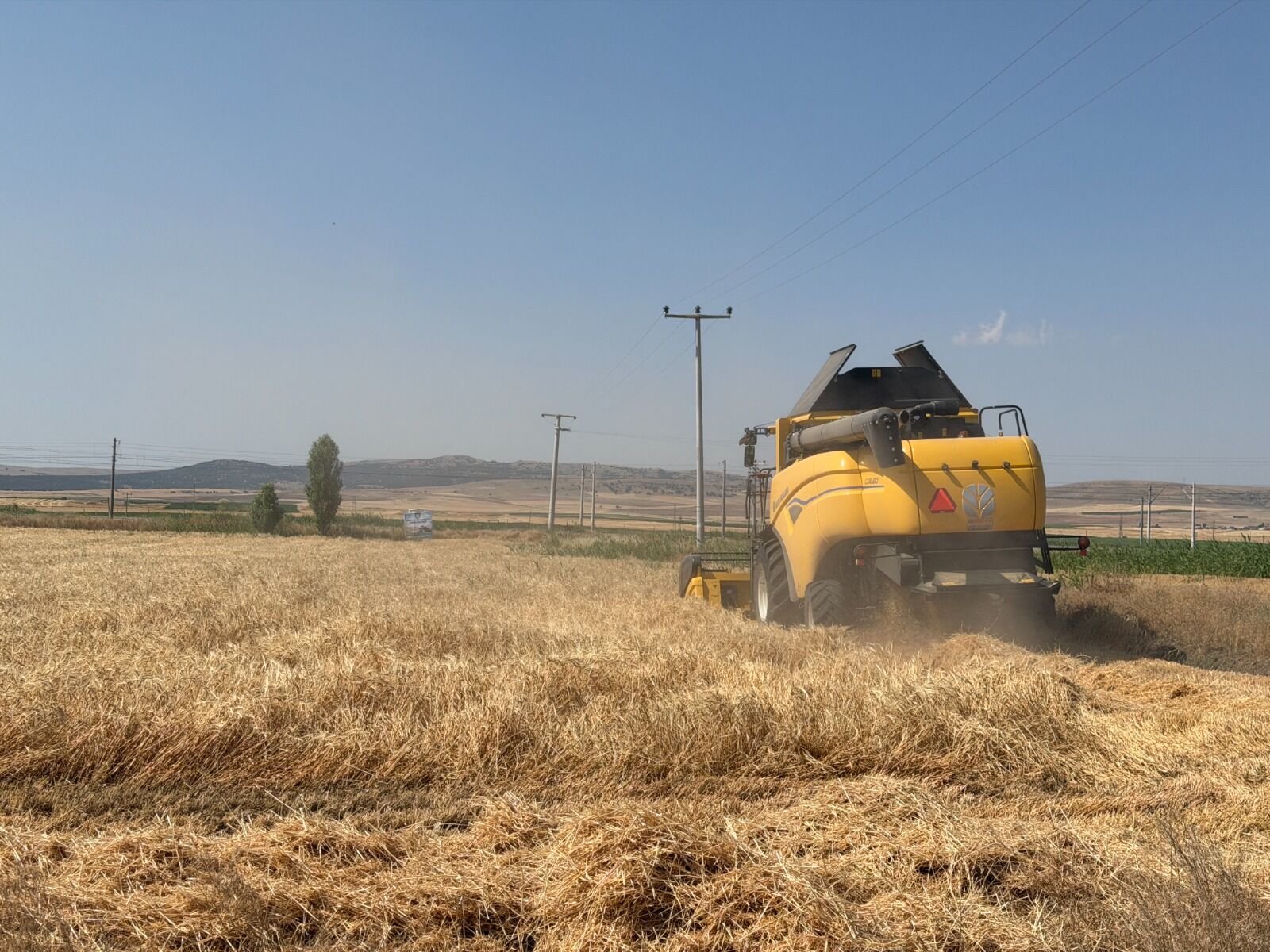 Büyükşehir’in Tarım Arazilerinde 77 Ton Arpa Hasadı (8)