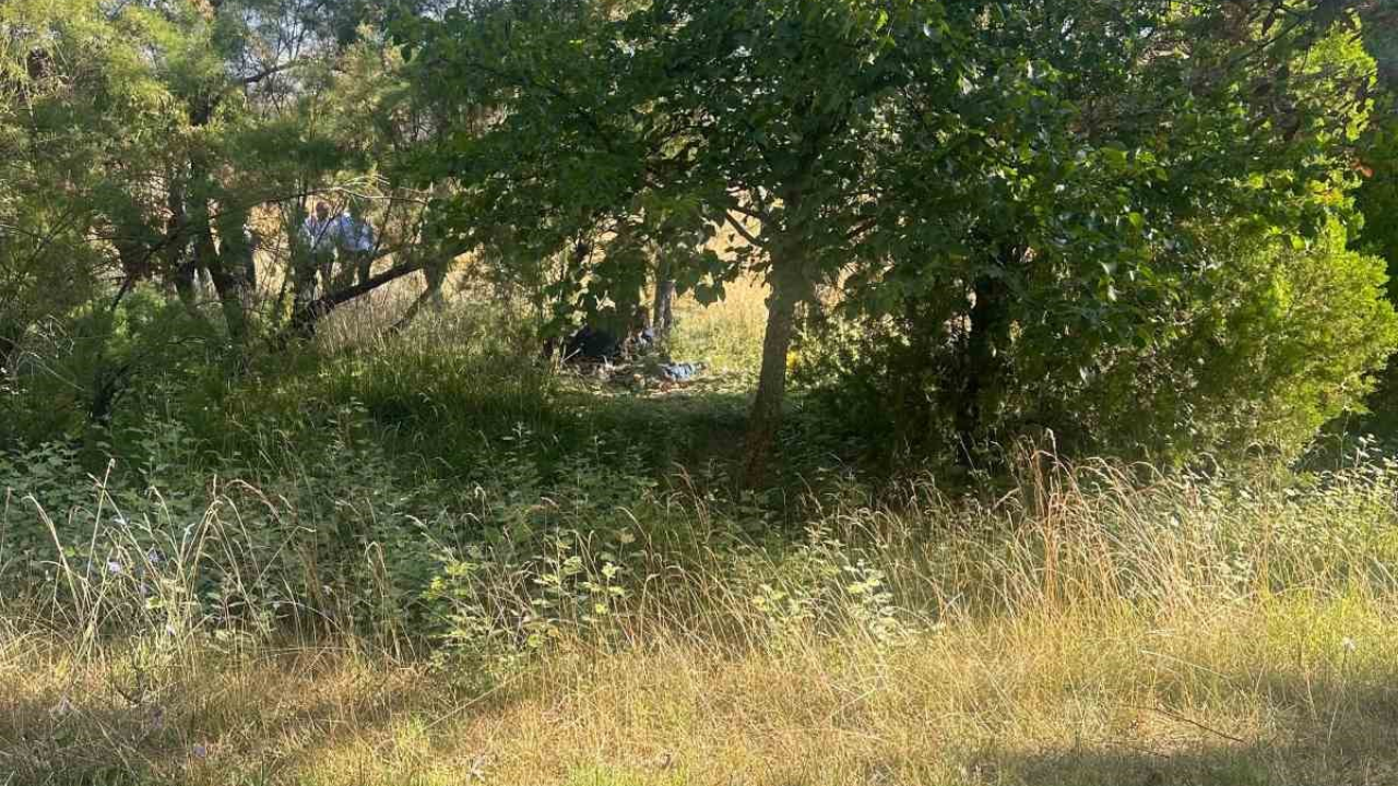 Eskişehir'de Ağaçlık Alanda Şüpheli Ölüm (1)