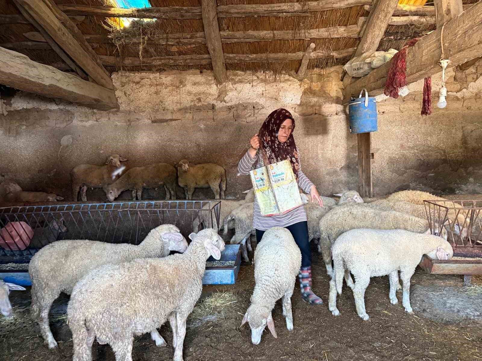 Eskişehir'de Büyü Iddiasıyla Öldürülen Çobanın Eşi 2 Oğlunu Çobanlık Yaparak Okutuyor (1)