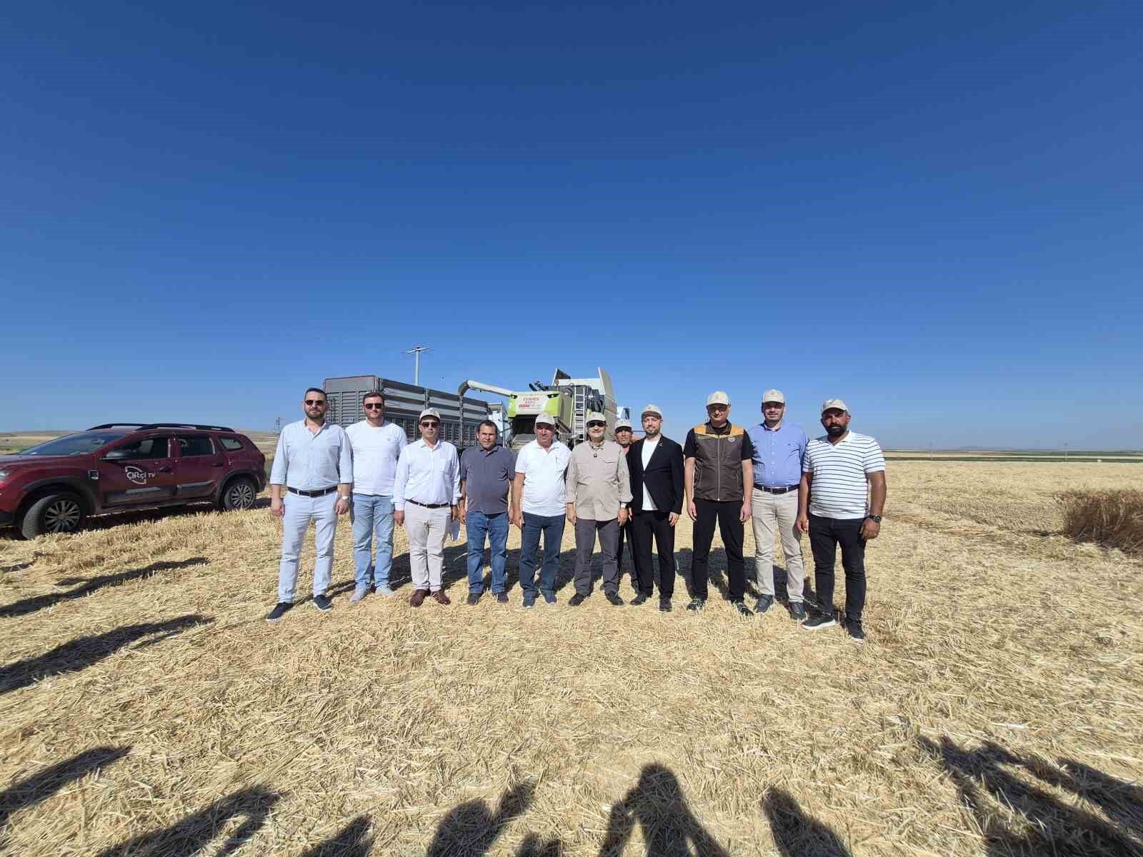 Milletvekili Dönmez Eskişehir'de Buğday Hasadında Katıldı (2)