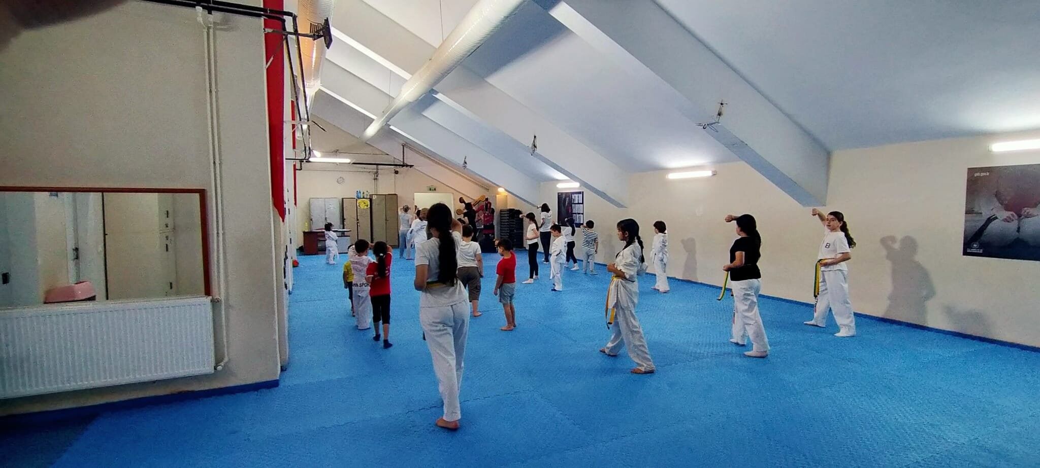 Taekwando 2