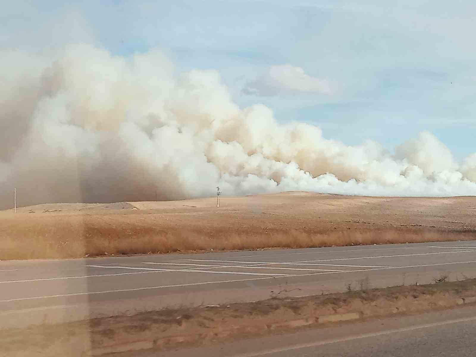 misir-tarlasinda-korkutan-yangin