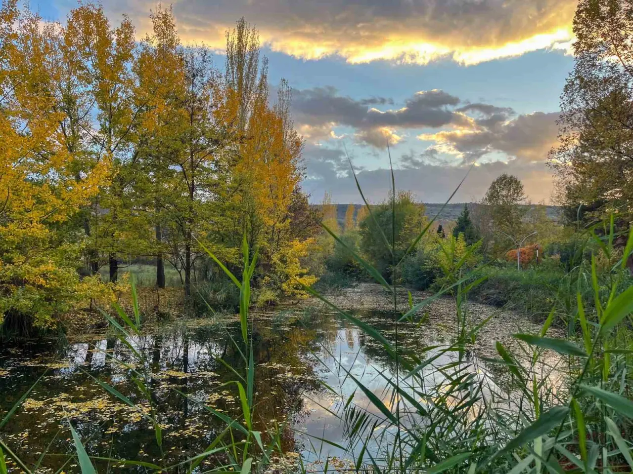 sonbahar-renkleri-eskisehiri-susledi