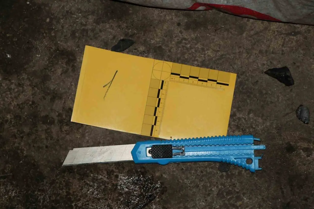 cocugun-bogazini-10-milyon-tl-icin-kestigi-iddia-edilen-sanik-icin-44-yila-kadar-hapis-istendi