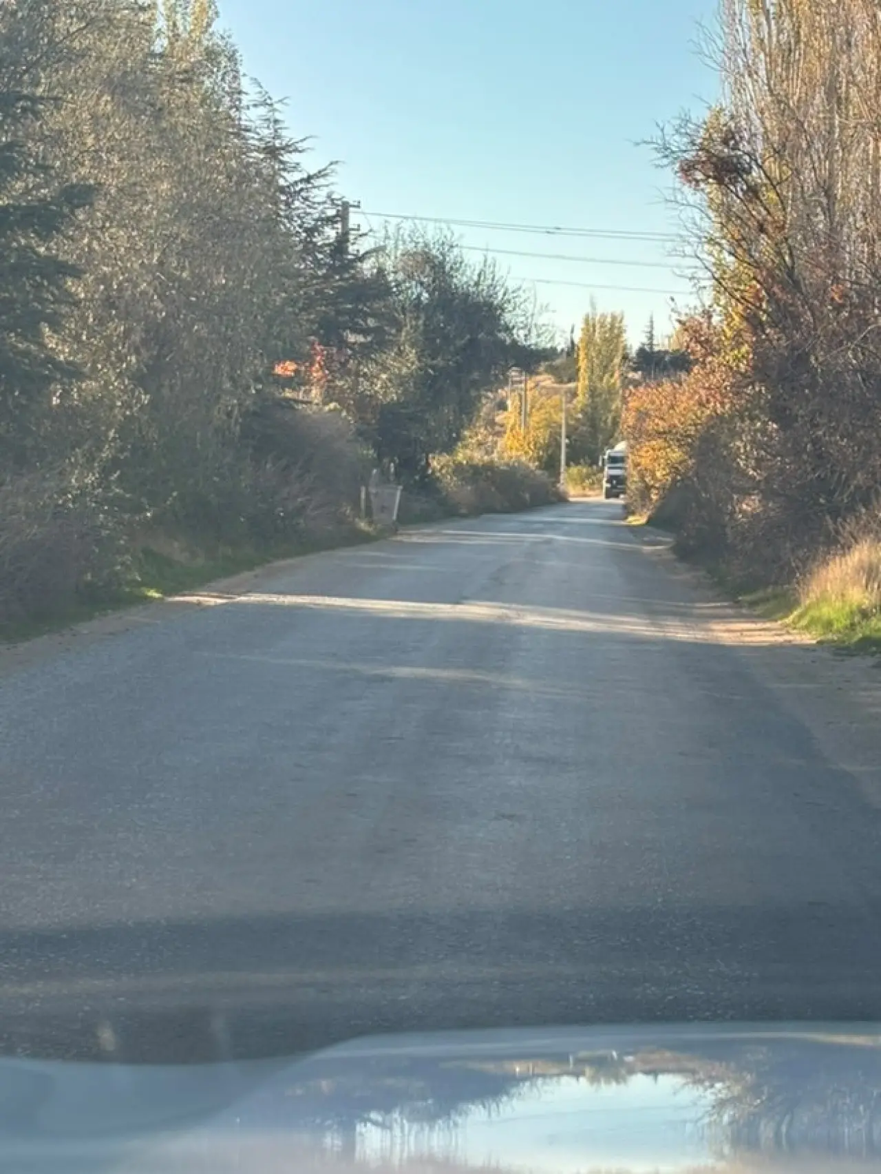 tekoren-yolunda-uzayan-agac-dallari-suruculere-zorluk-yasatiyor