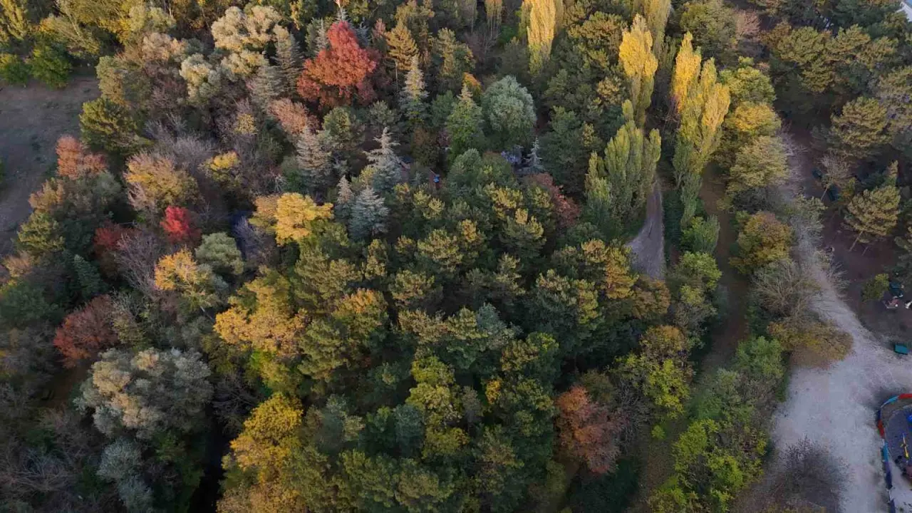 sonbahar-renkleri-eskisehiri-susledi