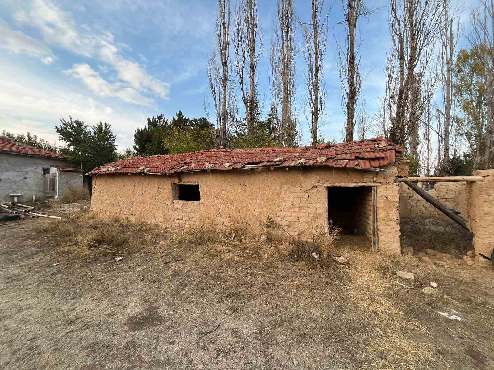 agabeyini-oldurup-temele-gomen-sanik-bicakla-bogazima-sarildi-korktum-kurekle-vurdum-yere-gomdum