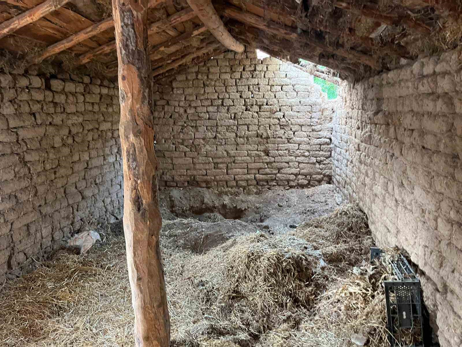 eskisehirde-14-yil-sonra-ahirdan-cikarilan-cesedin-gomuldugu-yer-goruntulendi