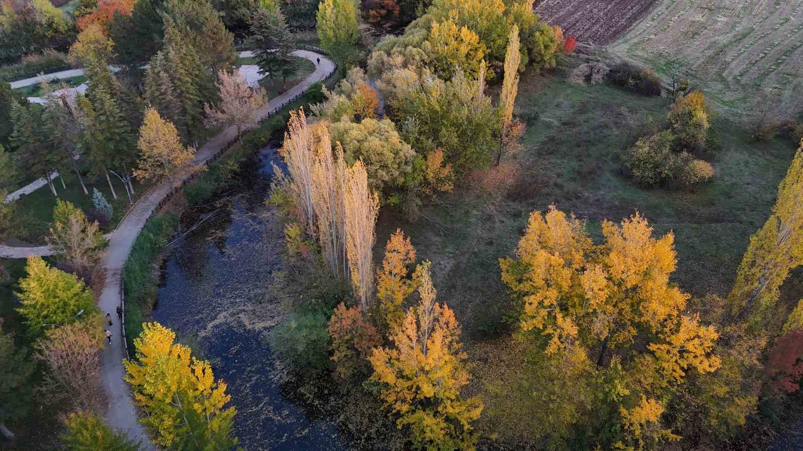 sonbahar-renkleri-eskisehiri-susledi