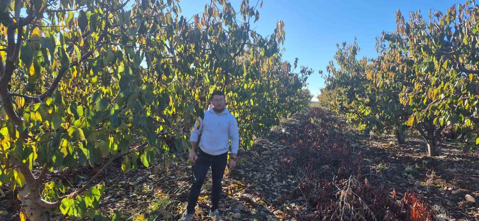 zirai-dondan-etkilenen-kiraz-ureticisinden-devlete-destek-tesekkuru