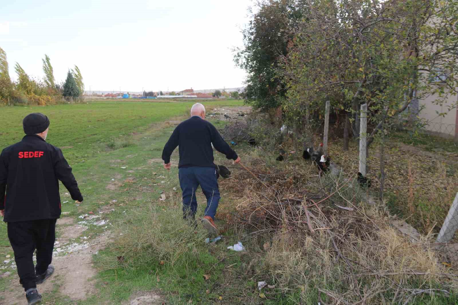 11-tavugu-kopeklerce-telef-edilen-mahalleli-hayvanlarini-korumak-icin-cobanlik-yapiyor