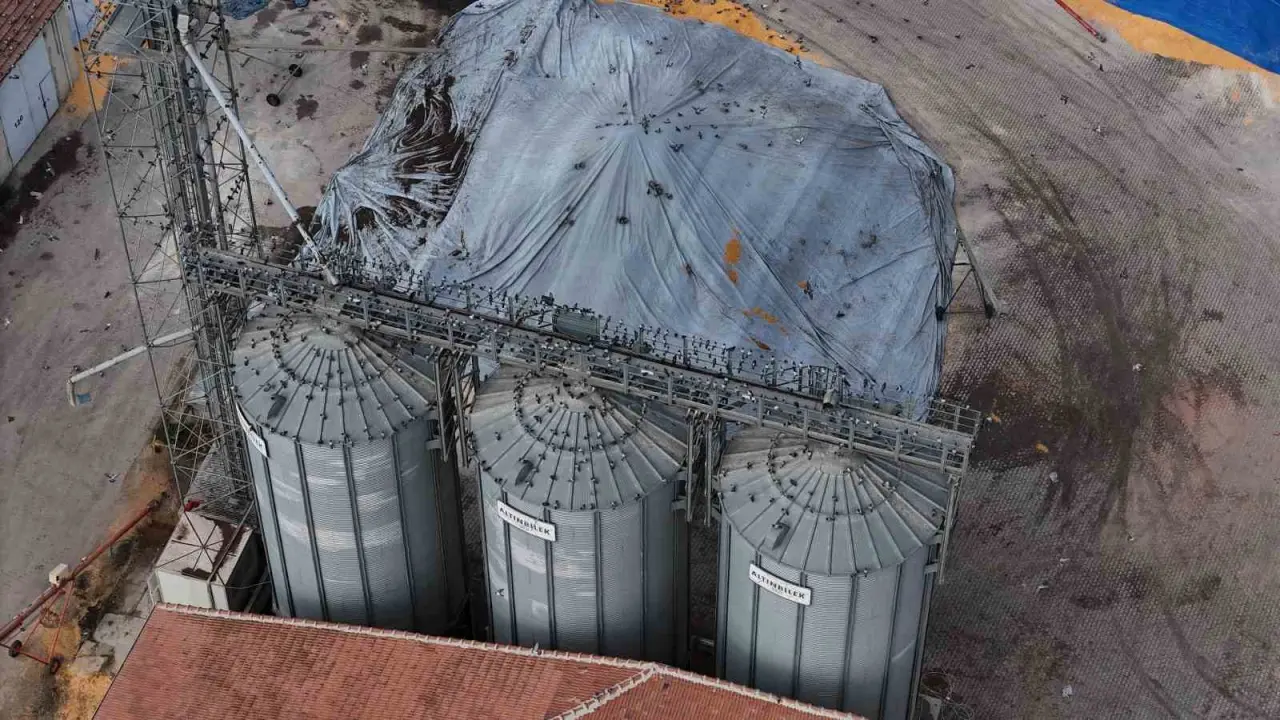 guvercinler-icin-adeta-acik-bufe