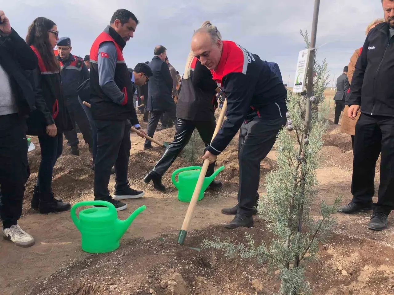 11-kasim-milli-agaclandirma-gununde-20-bin-fidan-dikildi
