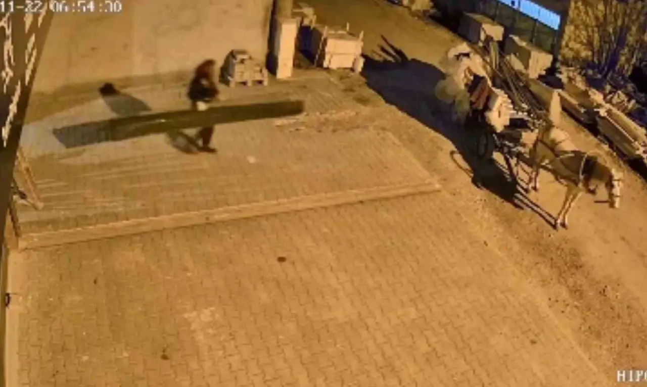 35-bin-tl-degerindeki-esyalari-calan-supheliler-ayni-gun-icinde-yakaldi