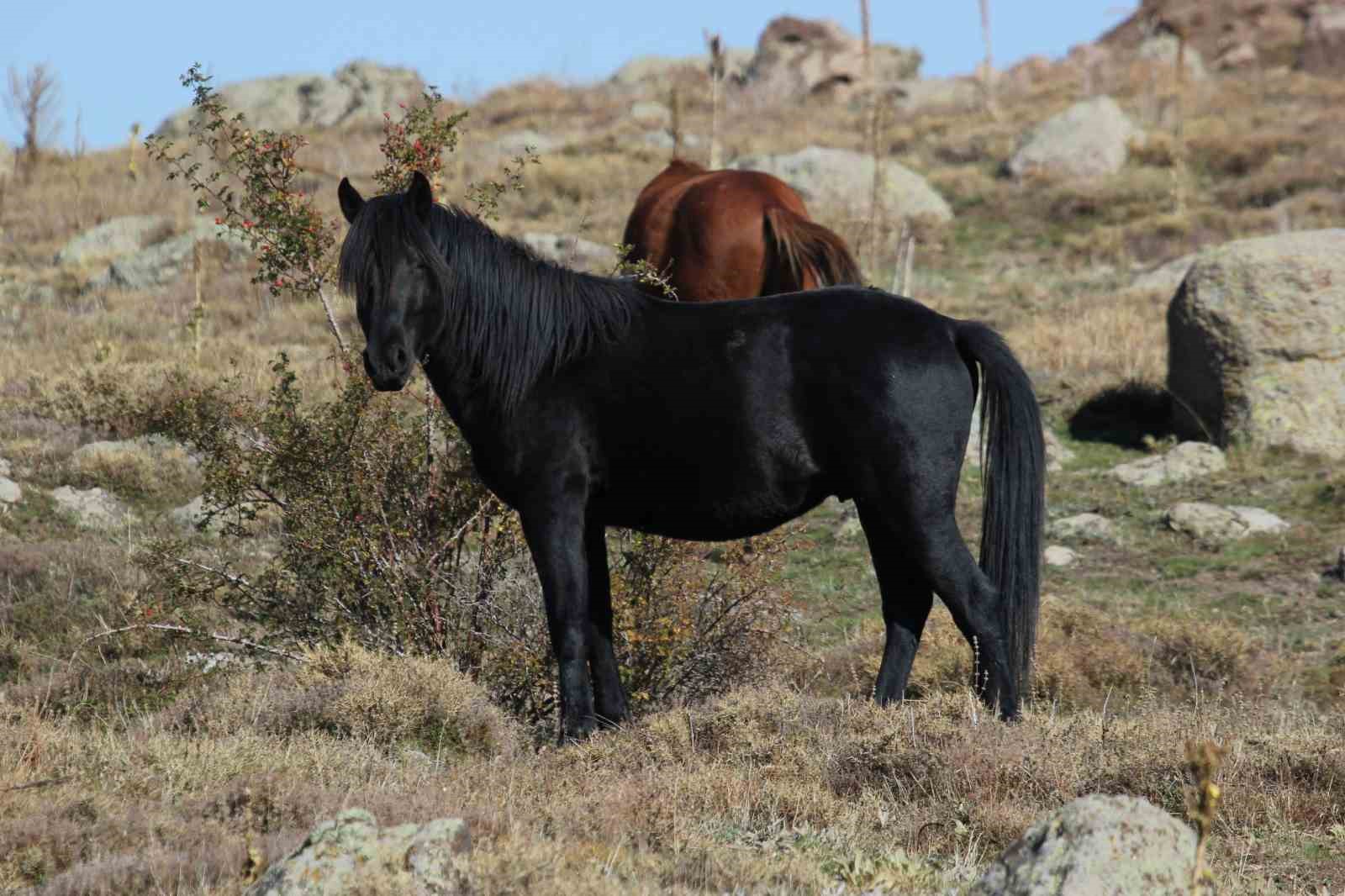 bulutlarin-dansi-ve-yilki-atlari-dron-ile-goruntulendi