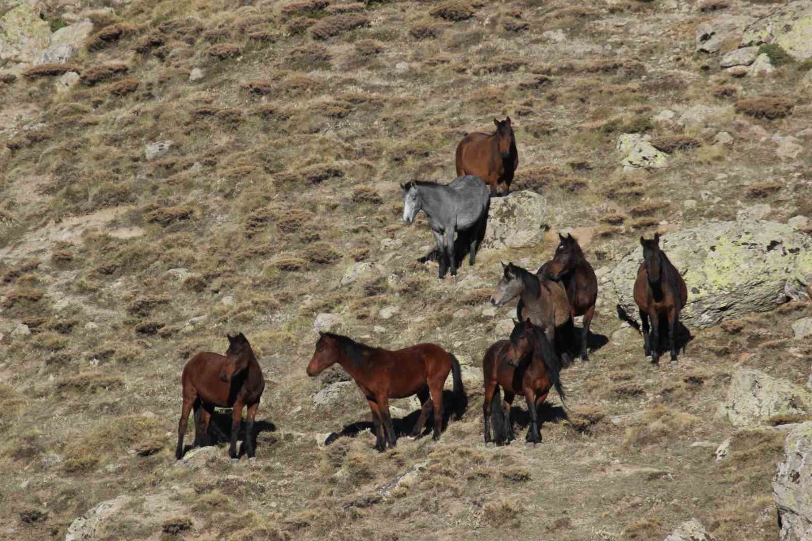 bulutlarin-dansi-ve-yilki-atlari-dron-ile-goruntulendi