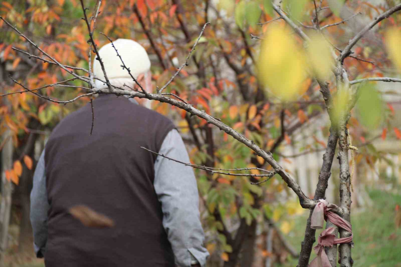 coplugu-15-temmuz-sehitleri-fidanligina-cevirdi
