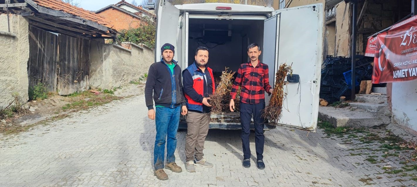 domanicte-ciftcilere-yuzde-75-hibeli-3-bin-adet-ahududu-fidani-dagitildi