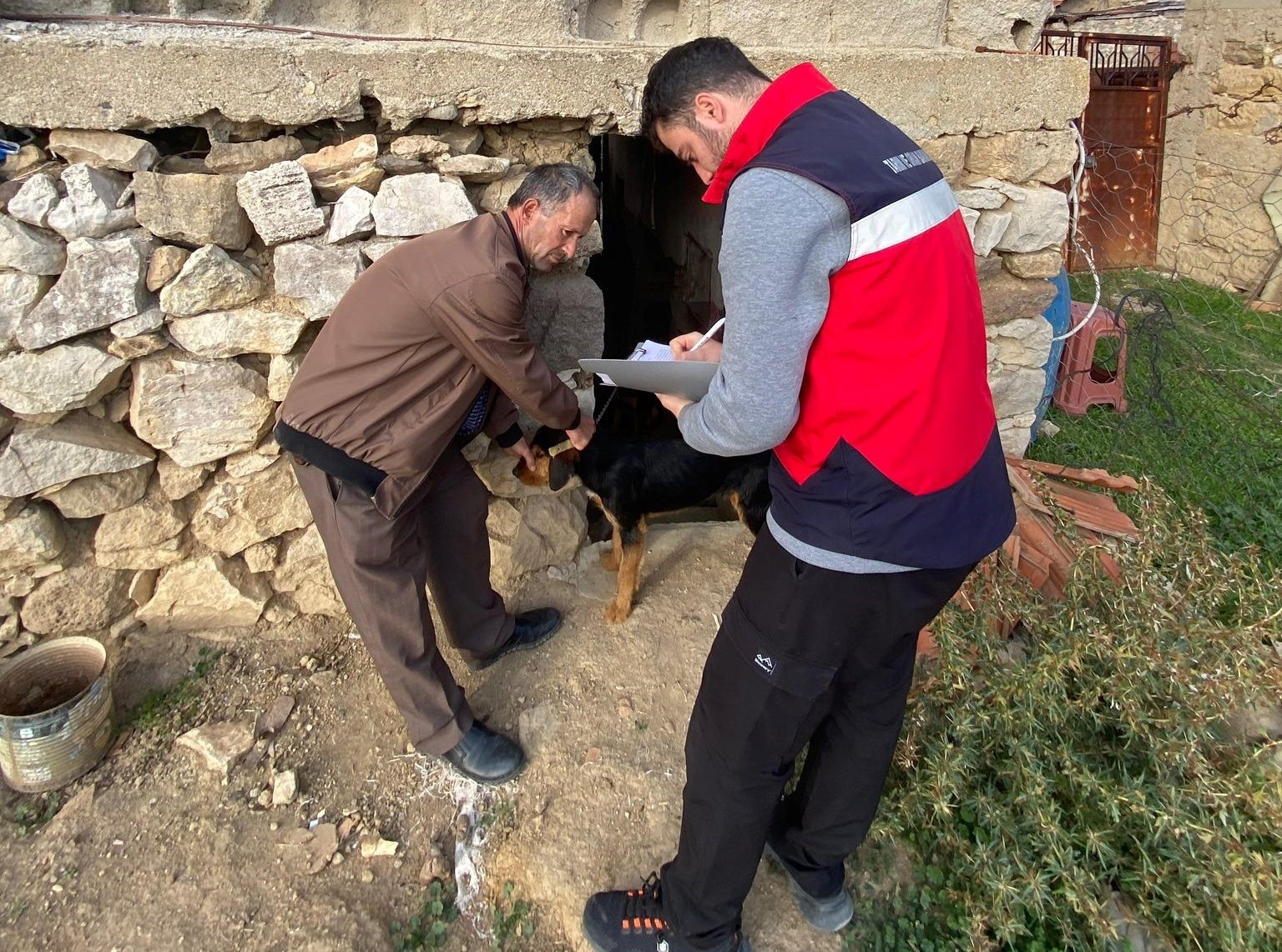 emette-sahipli-kedi-ve-kopeklere-mikrocip-ve-kuduz-asisi-uygulamasi