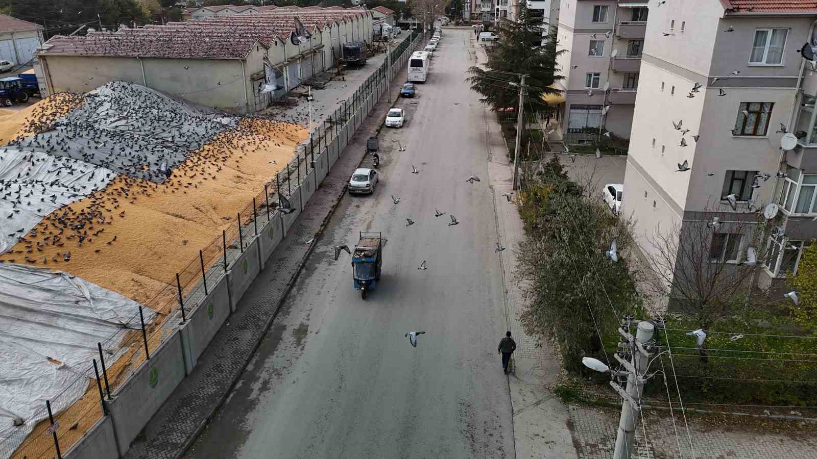 guvercinler-icin-adeta-acik-bufe