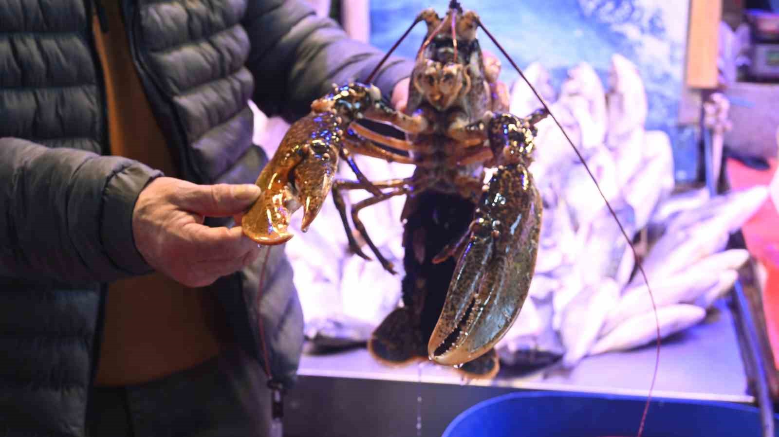 iskenderundan-gelen-lezzet