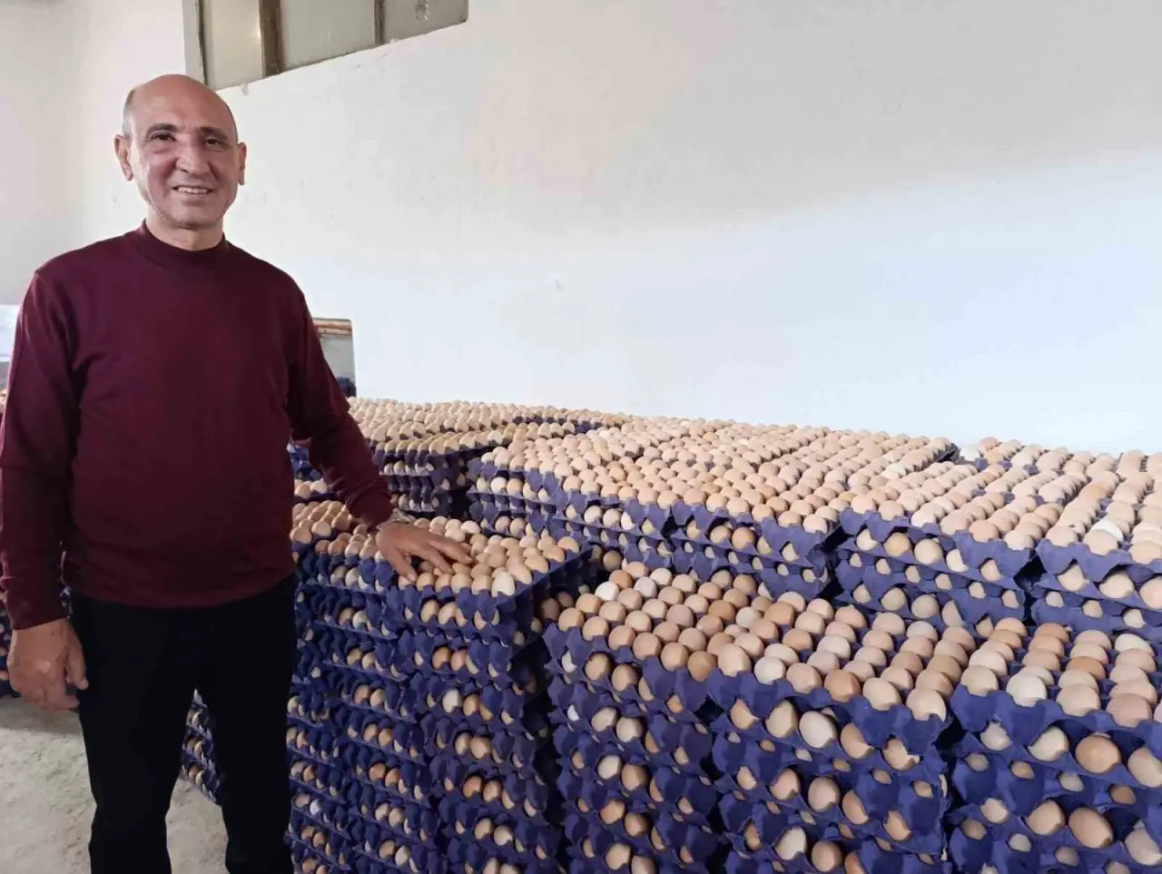 simavin-kusu-beldesinde-gunluk-15-bin-yumurta-uretimi